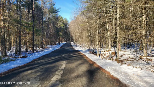 a view of a backyard with tree s