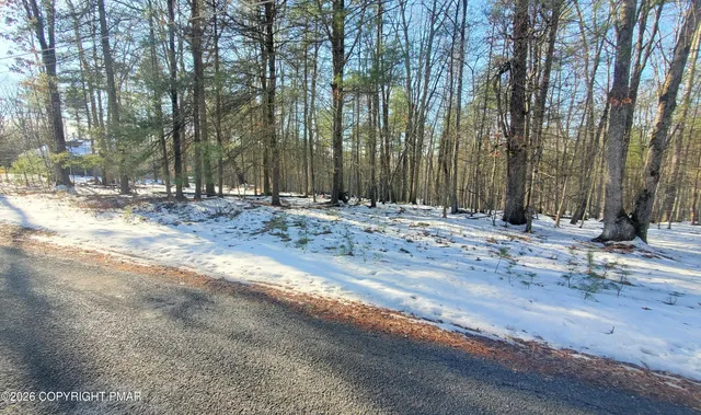 a view of dirt yard with a large tree