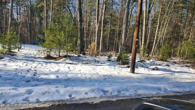 a view of a house with yard and tree s