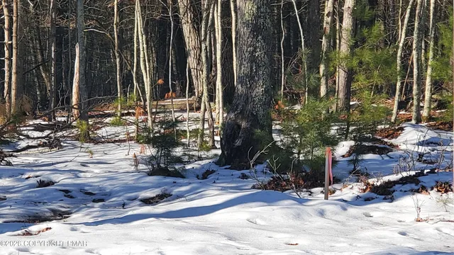 a view of outdoor space with chairs