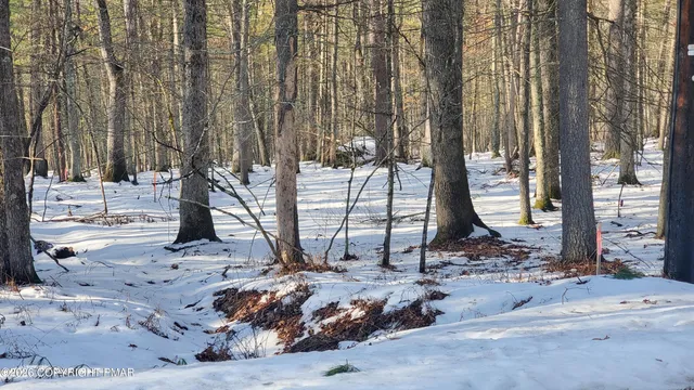 a view of a backyard of the house