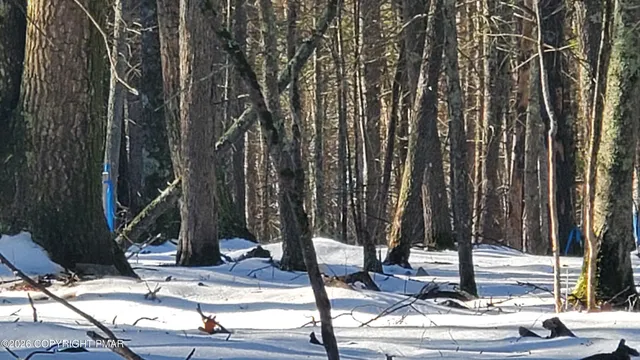 a view of lake with a yard