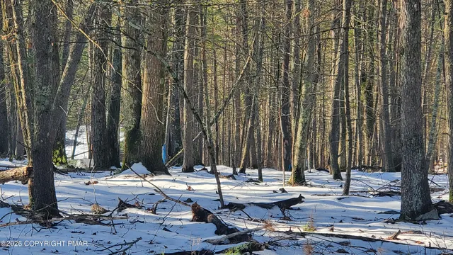 a view of outdoor space yard and patio
