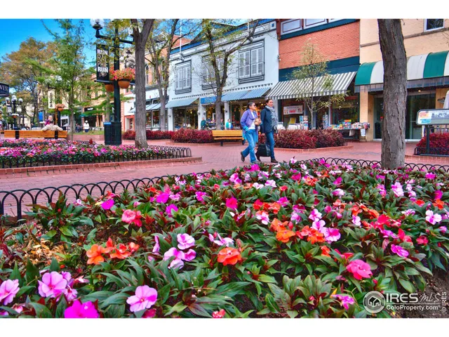 a city street lined with flowers and flowers