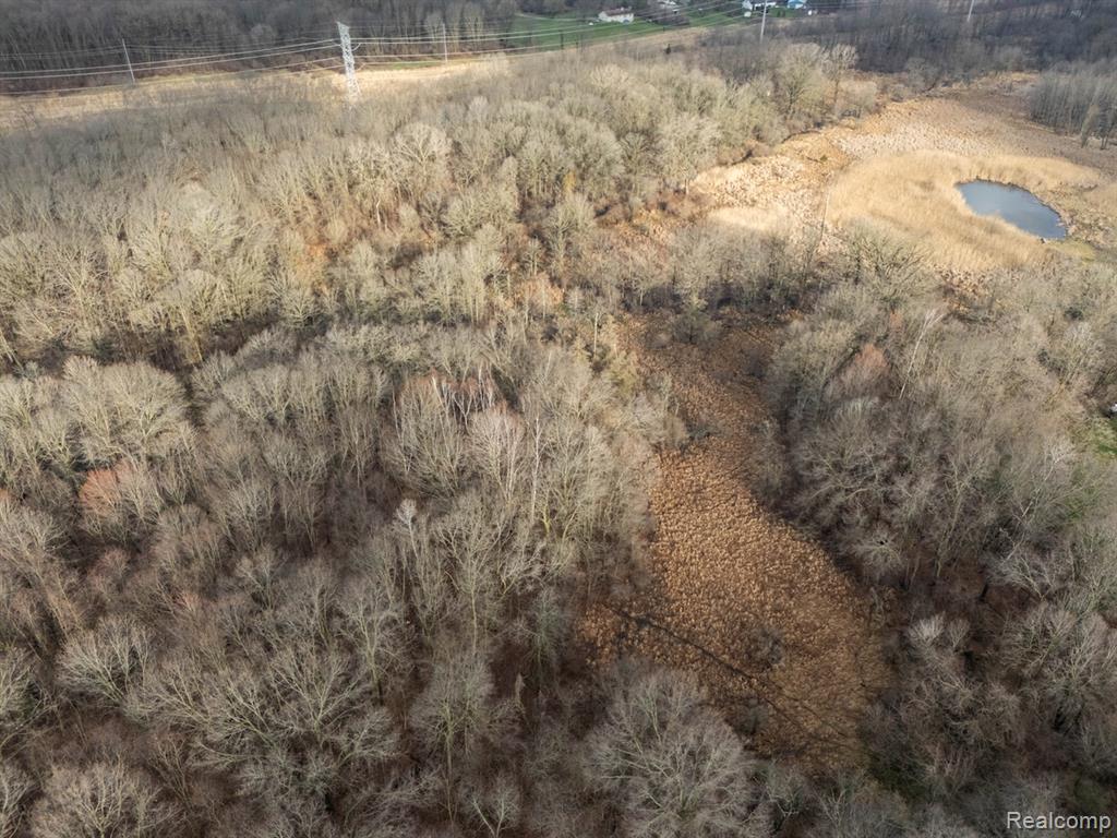 Vl Pingree Road Howell, MI 48843 - Photo 12 of 14