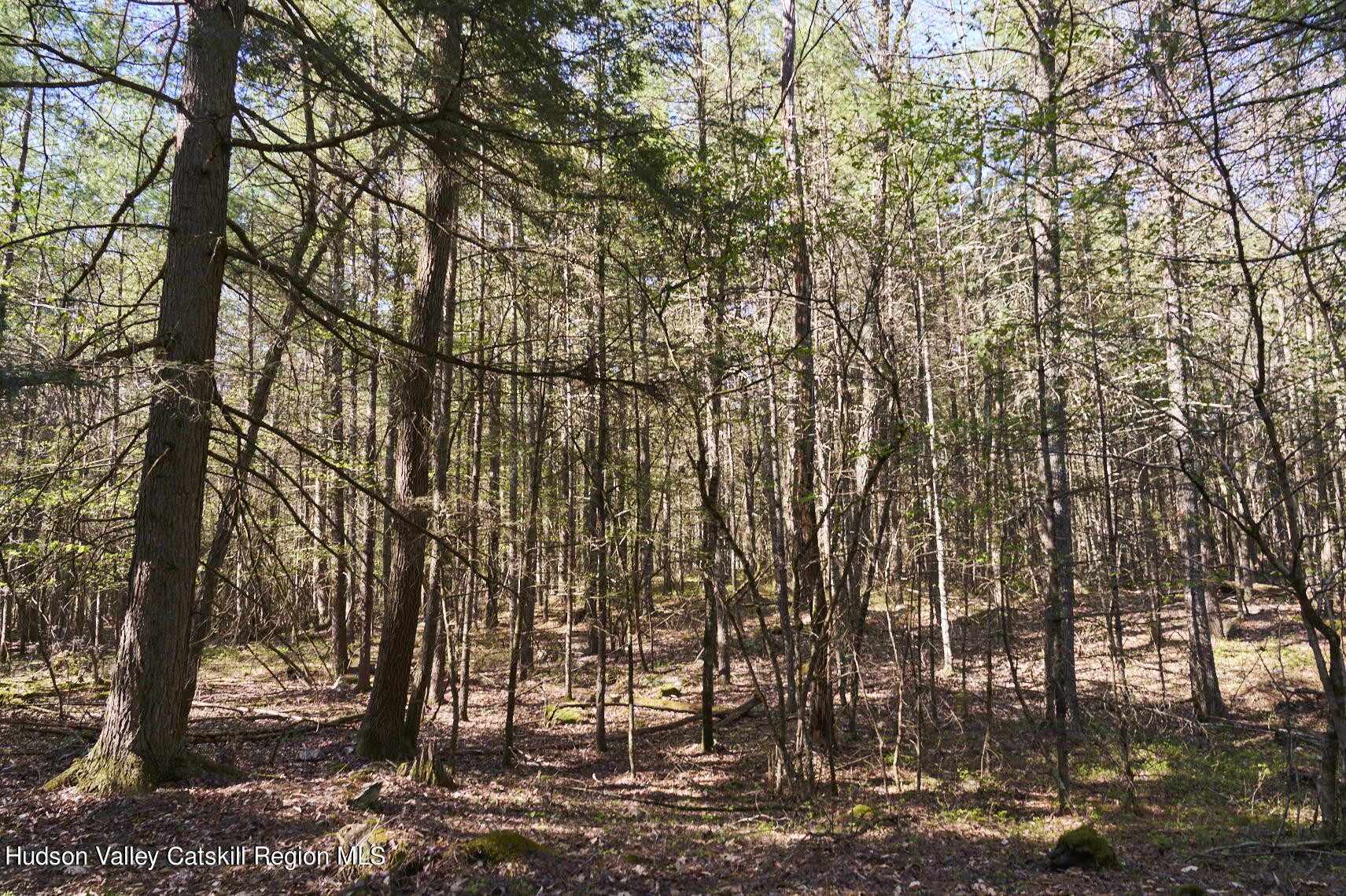 47 Woodland Road, Unit 48 WOODLAND ROAD Stone Ridge, NY 12484 - Photo 5 of 8 _DSC2759