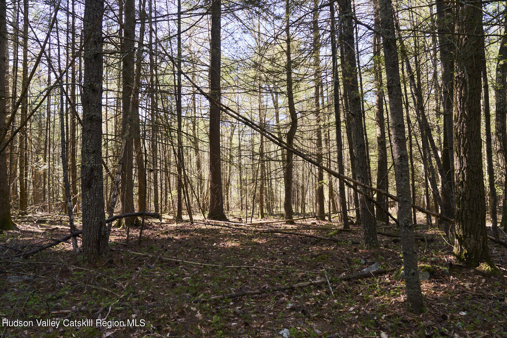47 Woodland Road, Unit 48 WOODLAND ROAD Stone Ridge, NY 12484 - Photo 7 of 8 _DSC2754