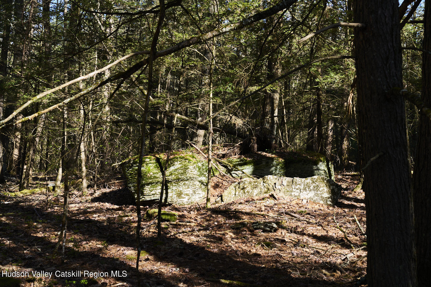 47 Woodland Road, Unit 48 WOODLAND ROAD Stone Ridge, NY 12484 - Photo 8 of 8 _DSC2792