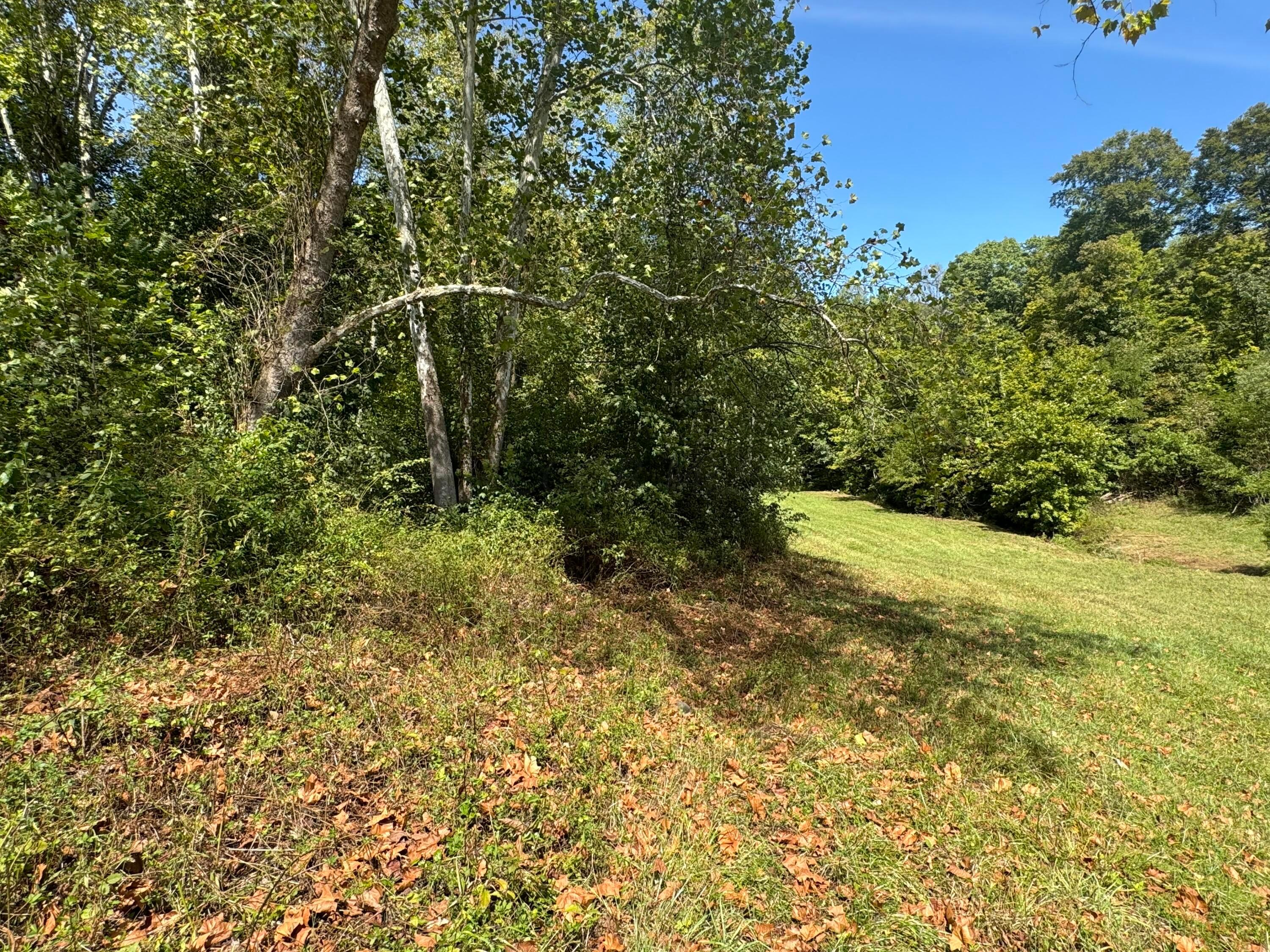 0 McGrath Road, Unit MCGRATH TRACT 5) Athens, OH 45701 - Photo 39 of 71 20240912_173849085_iOS