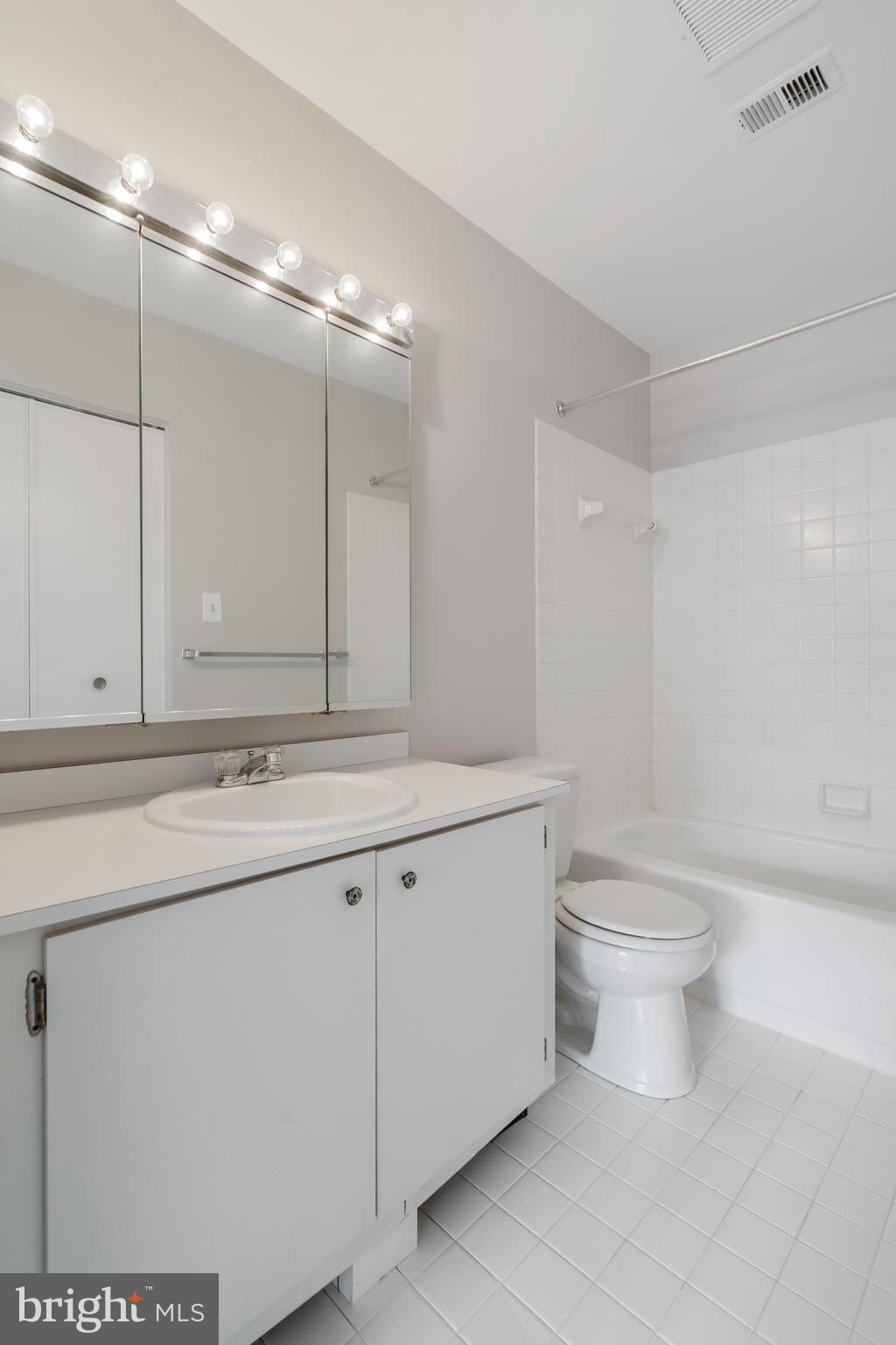 6300 Red Cedar Place, Unit 300 Baltimore, MD 21209 - Photo 22 of 36 Primary Bathroom jpg