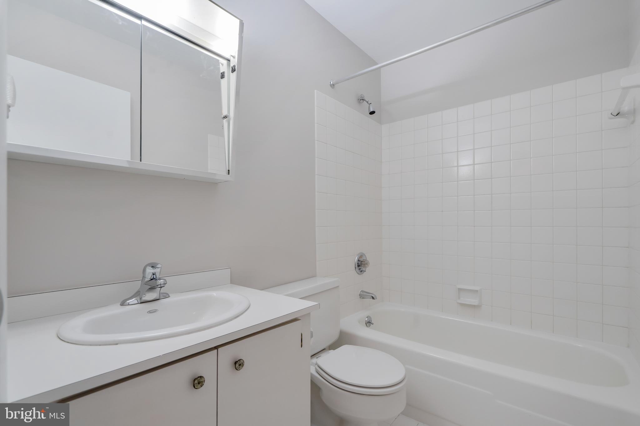 6300 Red Cedar Place, Unit 300 Baltimore, MD 21209 - Photo 29 of 36 Large Tub Shower