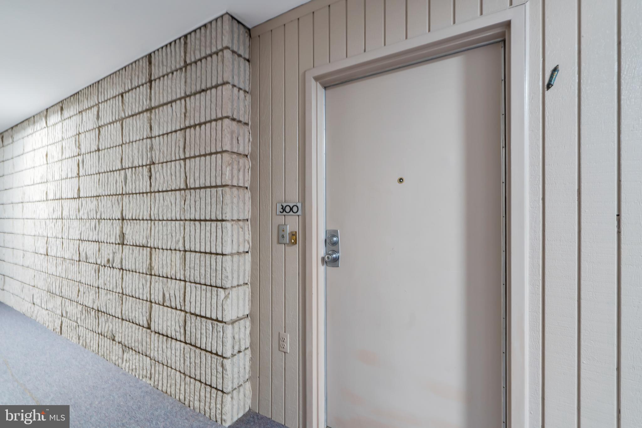 6300 Red Cedar Place, Unit 300 Baltimore, MD 21209 - Photo 8 of 36 Inviting Entryway