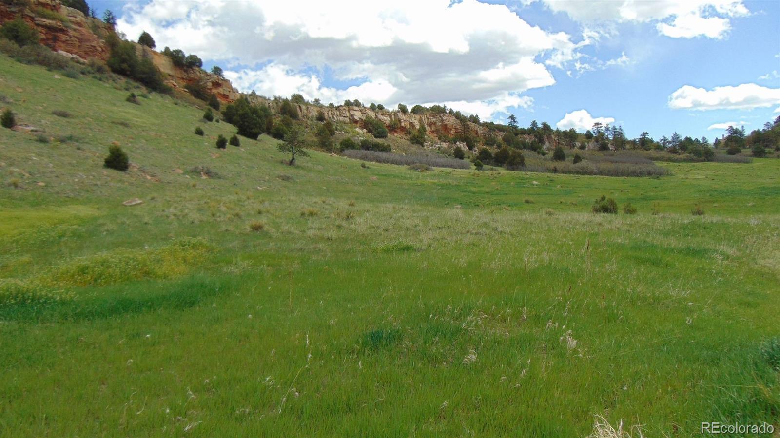 0 Echo Valley Road Larkspur, CO 80118 - Photo 1 of 46