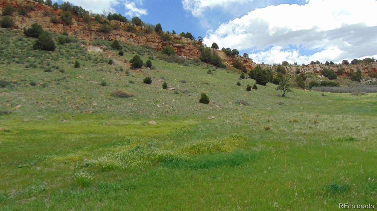 0 Echo Valley Road Larkspur, CO 80118 - Photo 17 of 46