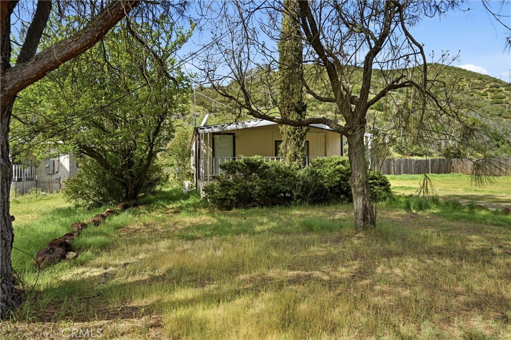 3795 Spring Valley Road Clearlake Oaks, CA 95423 - Photo 23 of 31 a backyard of a house with plants and large trees