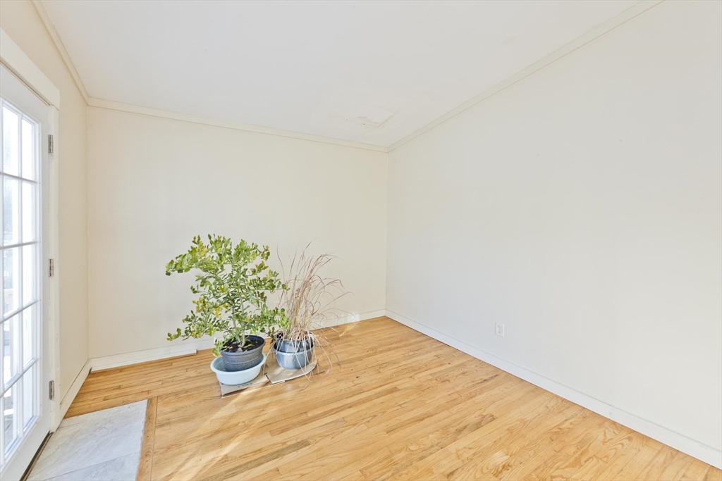 137 Old Amherst Road Belchertown, MA 01007 - Photo 21 of 42 a view of a room with a potted plant
