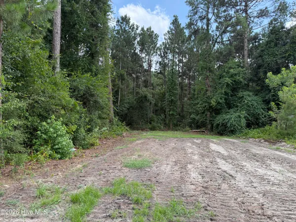 $60,000 | 0 Grays Lane, Elizabethtown, NC 28337