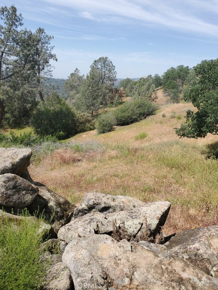 1952 Ranger Circle Drive Coarsegold, CA 93614 - Photo 8 of 17