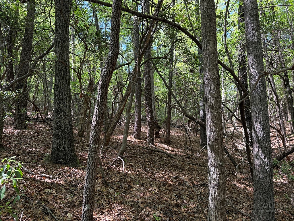 51-52a Staghorn Road Purlear, NC 28665 - Photo 13 of 50 a view of outdoor space