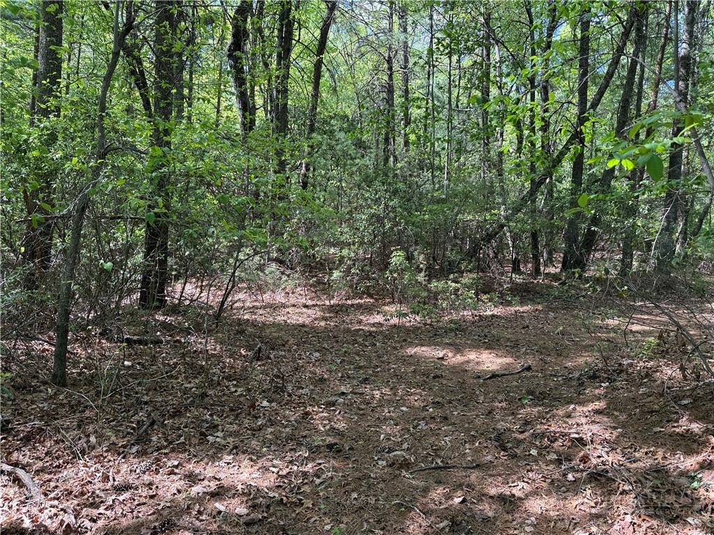 51-52a Staghorn Road Purlear, NC 28665 - Photo 17 of 50 a view of outdoor space with trees