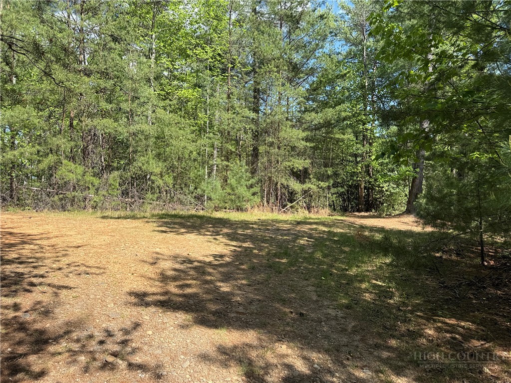 51-52a Staghorn Road Purlear, NC 28665 - Photo 20 of 50 a view of an outdoor space and swimming pool