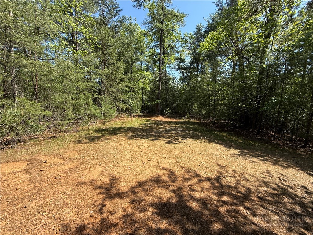51-52a Staghorn Road Purlear, NC 28665 - Photo 2 of 50 a view of yard