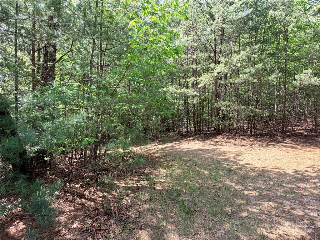 51-52a Staghorn Road Purlear, NC 28665 - Photo 21 of 50 a view of a yard with plants and trees