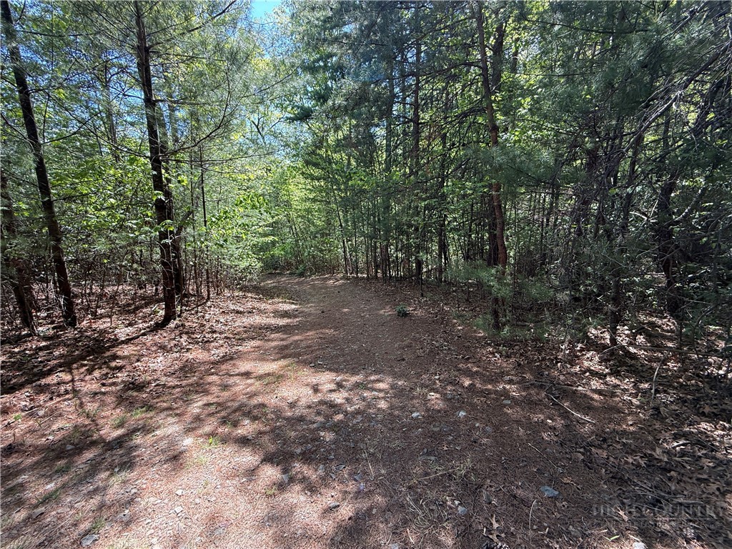 51-52a Staghorn Road Purlear, NC 28665 - Photo 22 of 50 a view of a forest with trees in the background