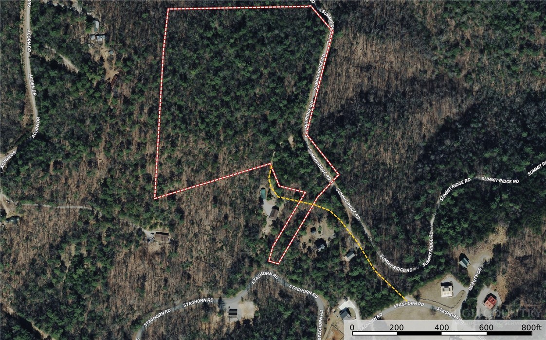 51-52a Staghorn Road Purlear, NC 28665 - Photo 3 of 50