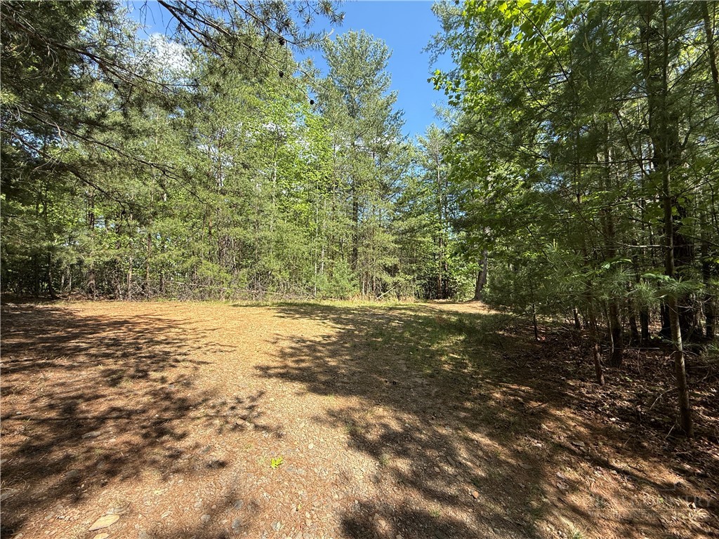 51-52a Staghorn Road Purlear, NC 28665 - Photo 7 of 50 a view of a yard with an trees
