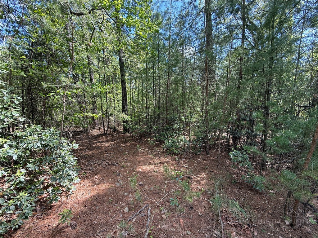 51-52a Staghorn Road Purlear, NC 28665 - Photo 9 of 50 a view of a forest with trees in the background