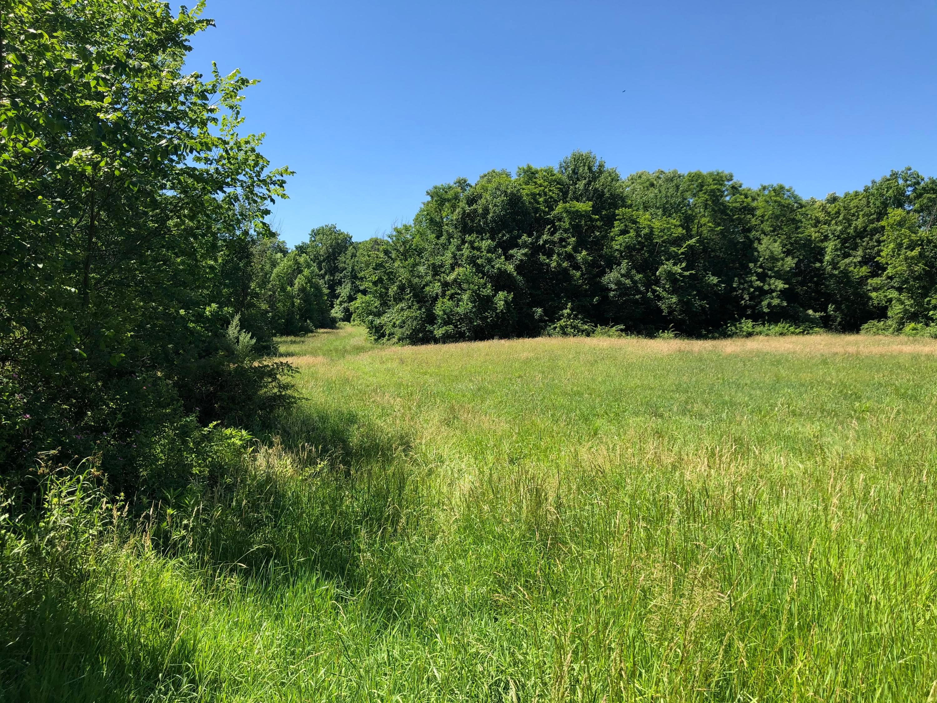 0 Pleasant Valley Road Mount Vernon, OH 43050 - Photo 11 of 43