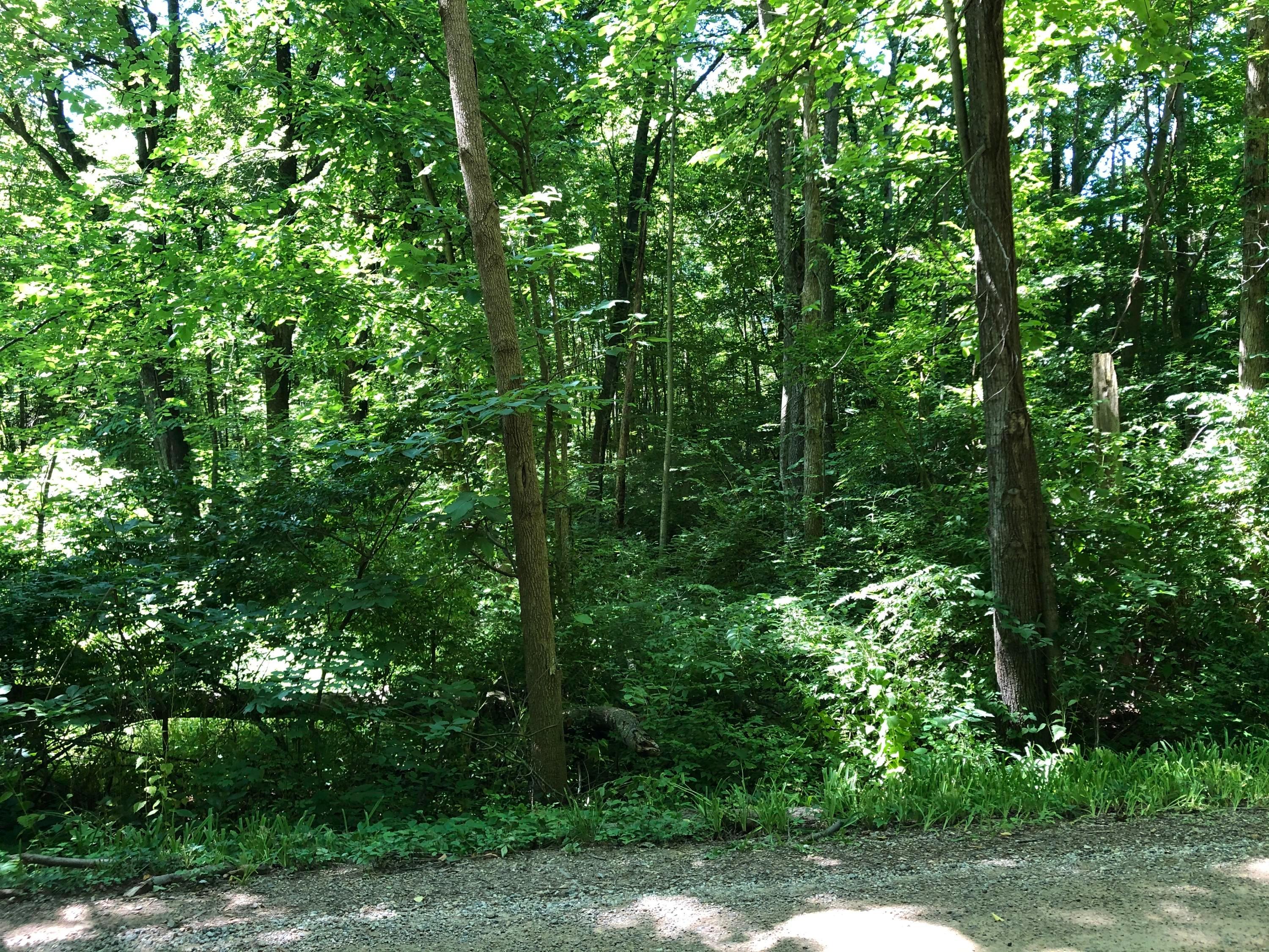0 Pleasant Valley Road Mount Vernon, OH 43050 - Photo 18 of 43