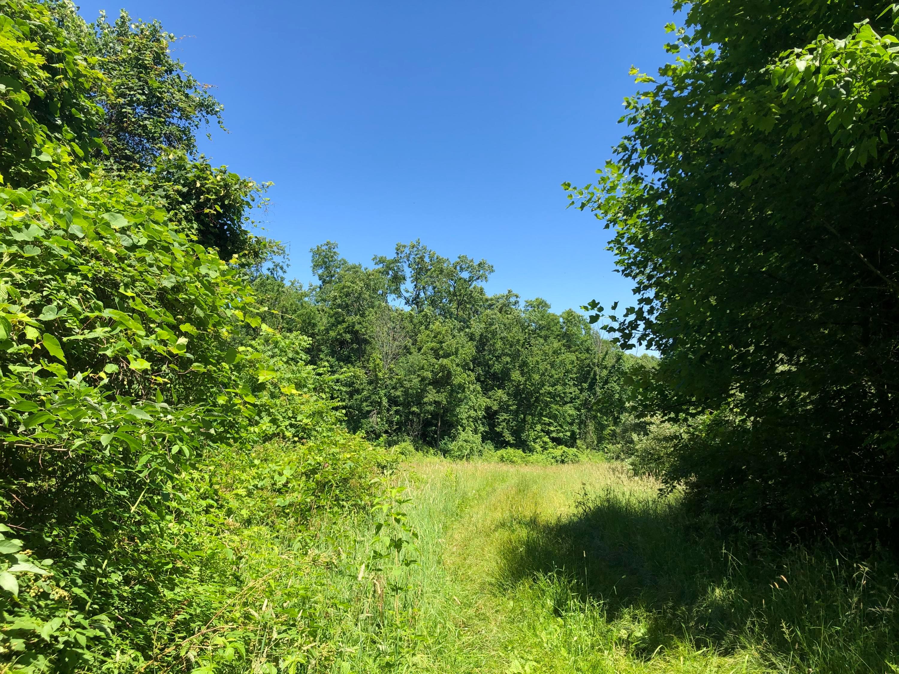 0 Pleasant Valley Road Mount Vernon, OH 43050 - Photo 23 of 43