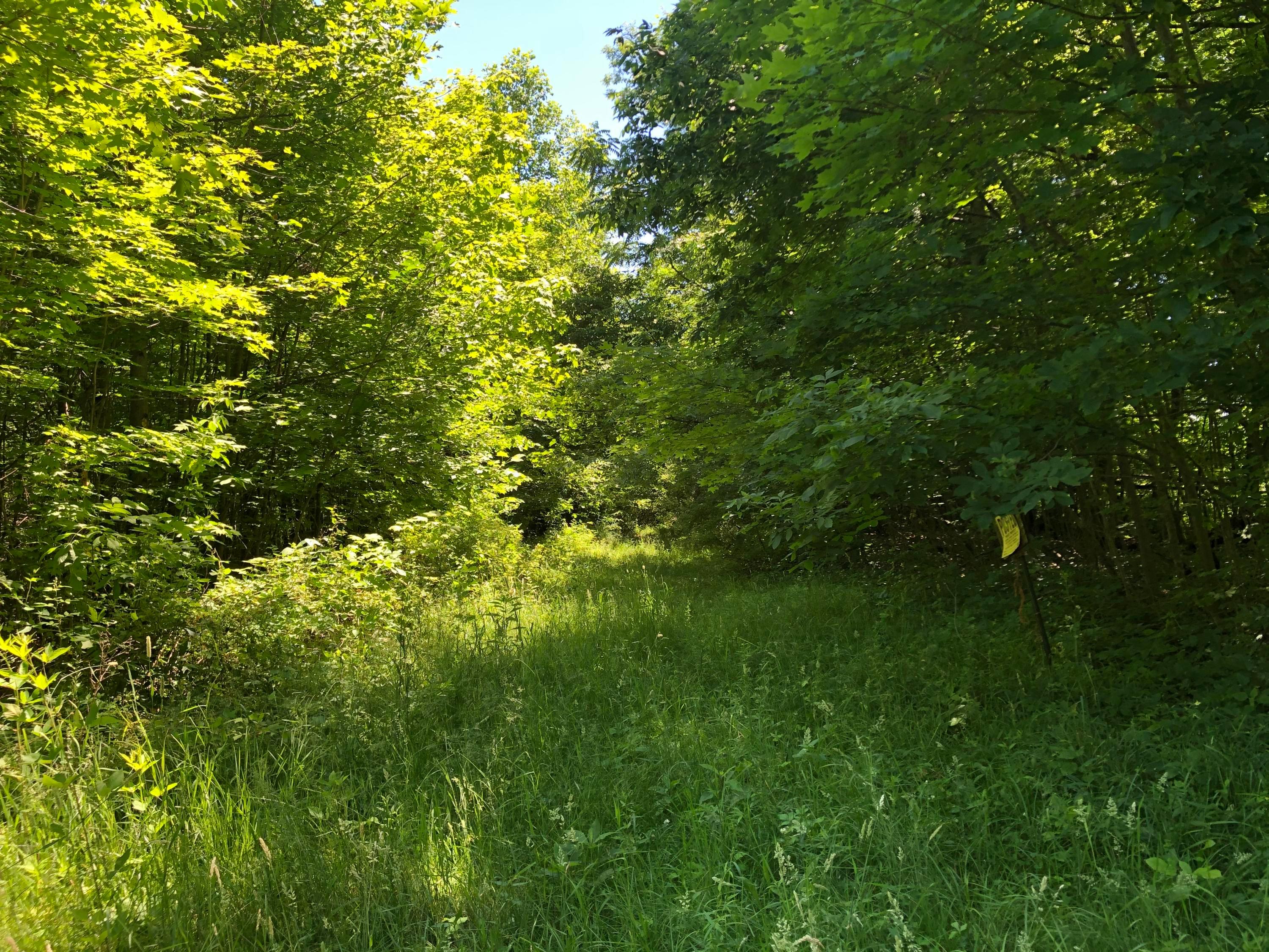 0 Pleasant Valley Road Mount Vernon, OH 43050 - Photo 25 of 43