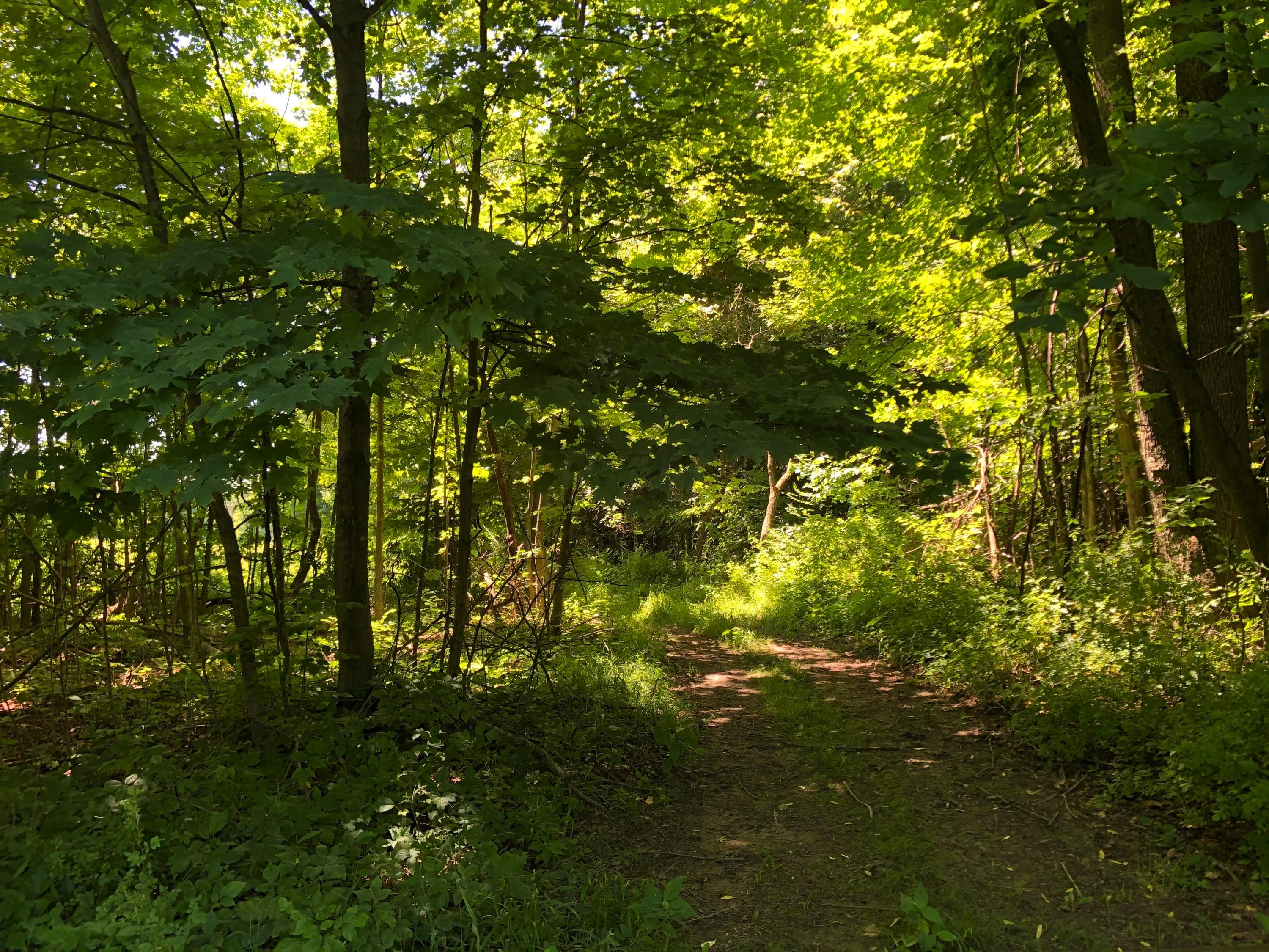 0 Pleasant Valley Road Mount Vernon, OH 43050 - Photo 26 of 43