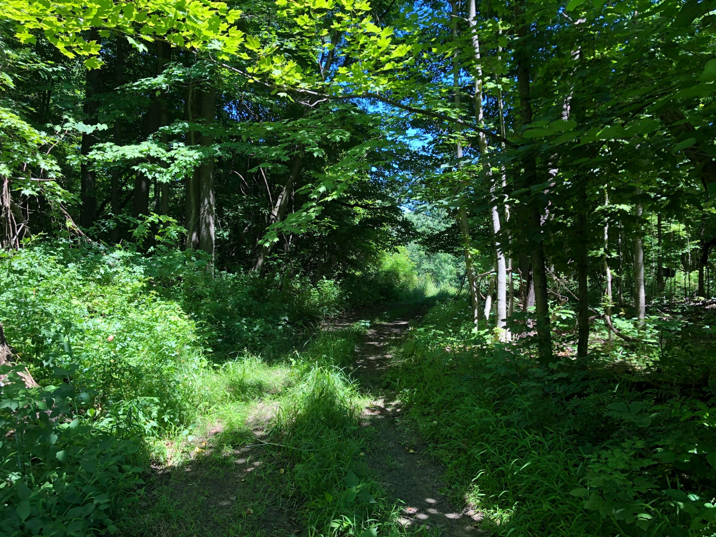 0 Pleasant Valley Road Mount Vernon, OH 43050 - Photo 29 of 43