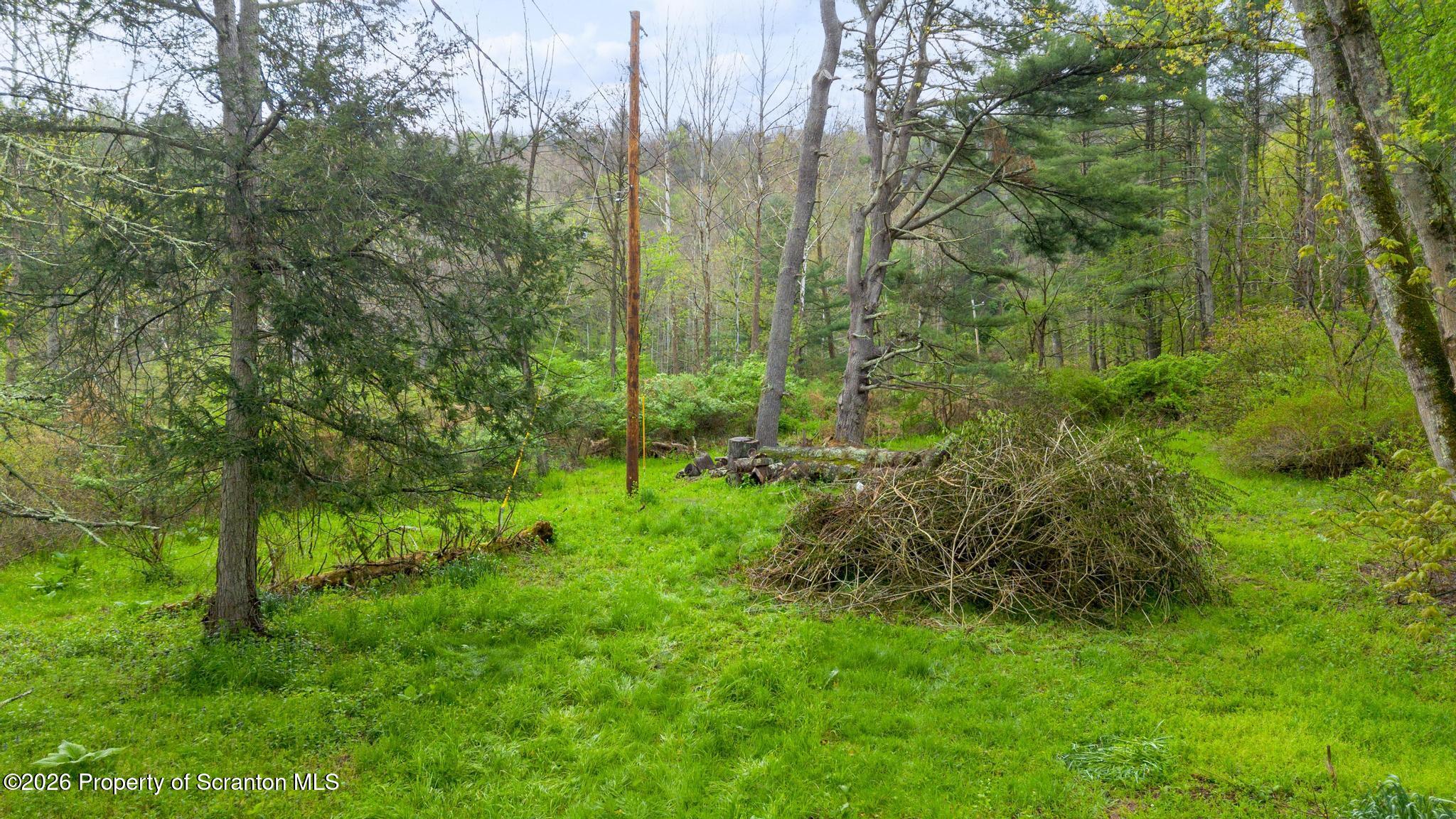 1114 Bacontown Road Nicholson, PA 18446 - Photo 15 of 33 DJI_0672