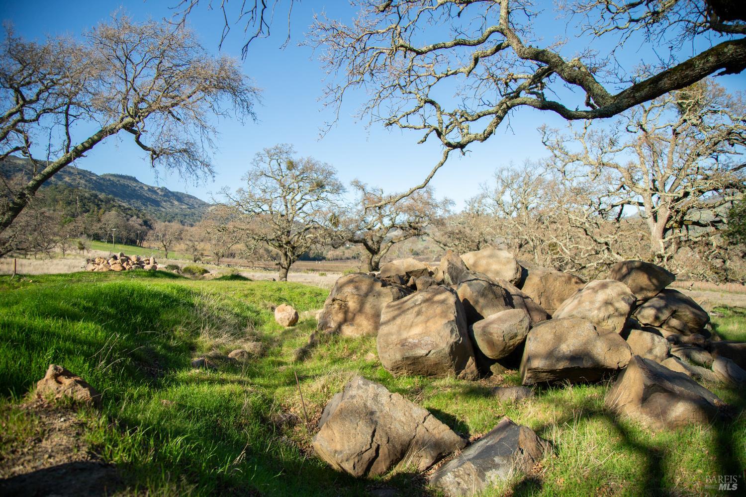 3576 Monticello Road Napa, CA 94558 - Photo 30 of 43