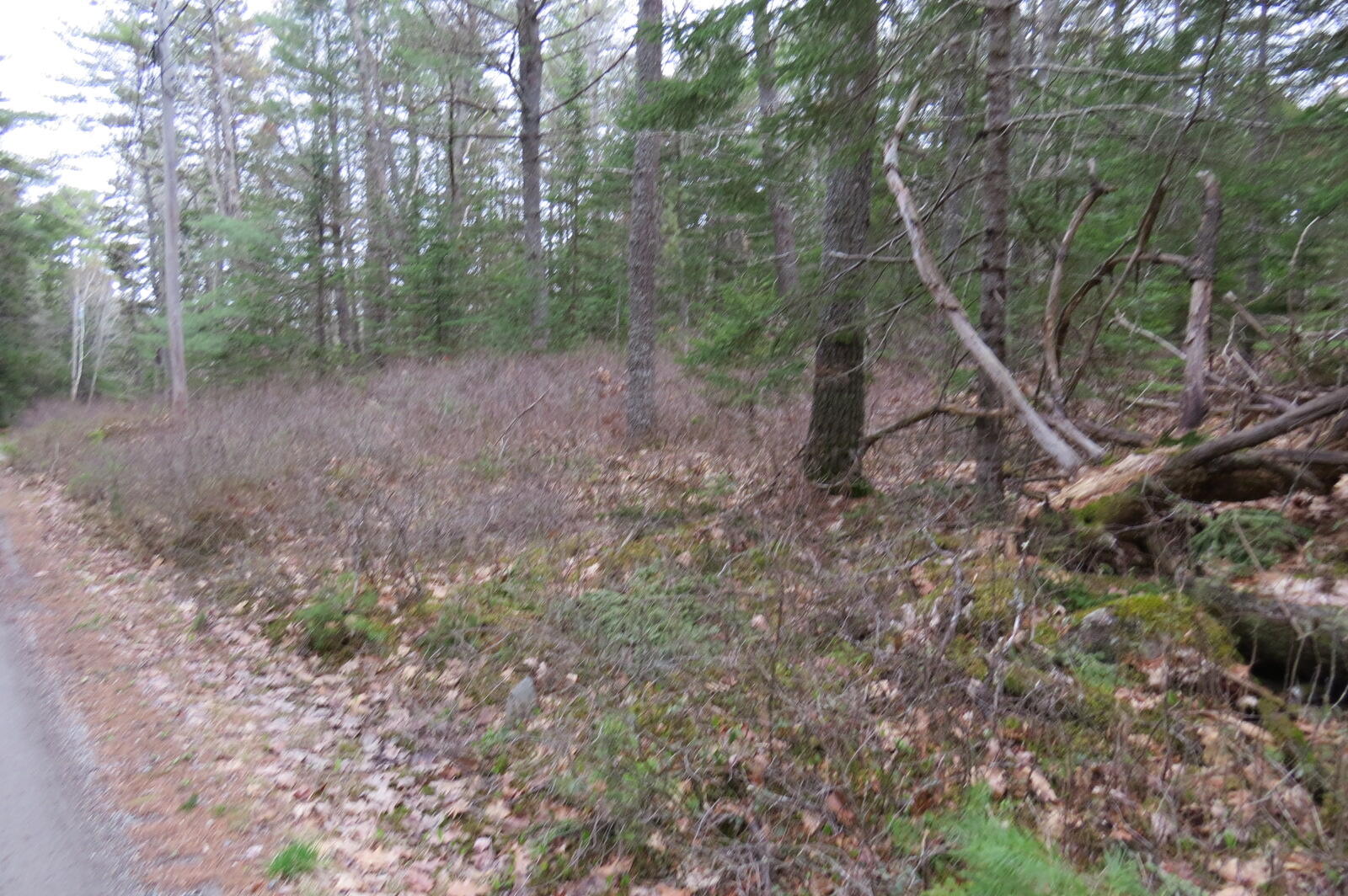 23 Porcupine Road Sullivan, ME 04664 - Photo 23 of 27 IMG_0208