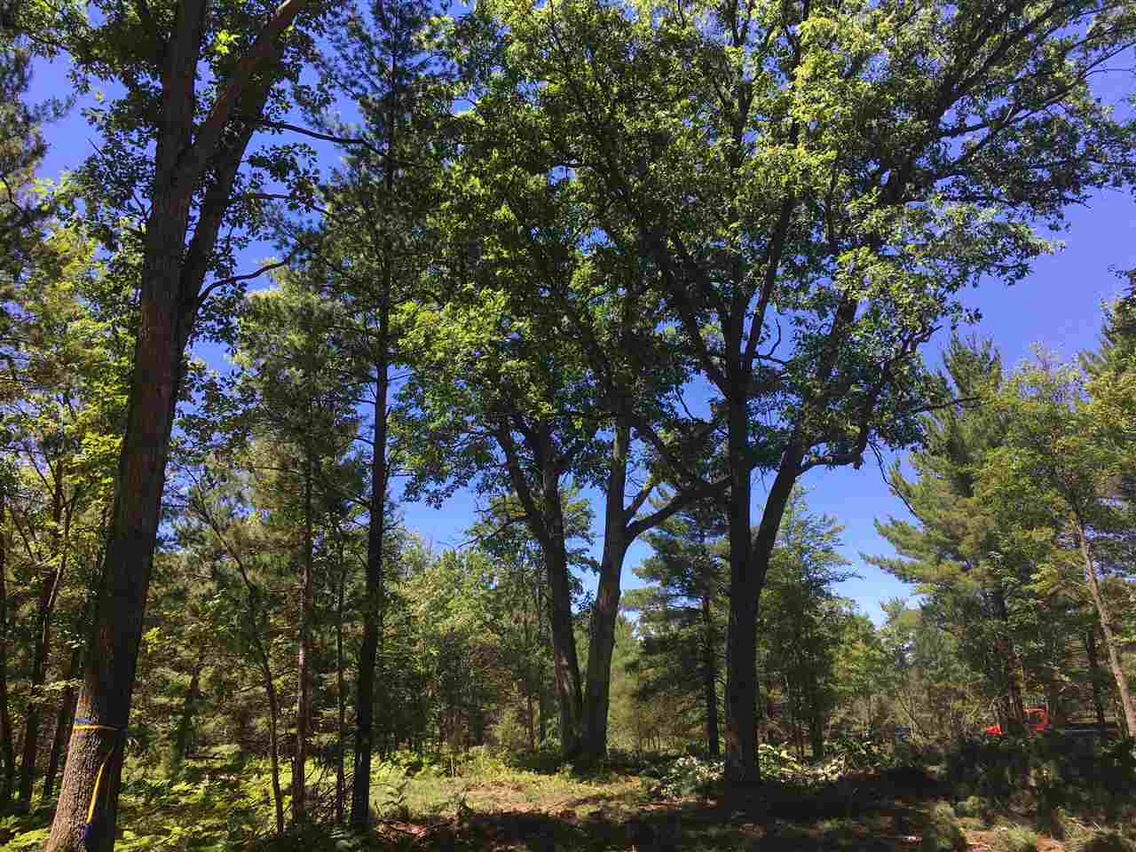 Lot 19 Supply Road Traverse City, MI 49696 - Photo 2 of 5 1881698-1.JPG