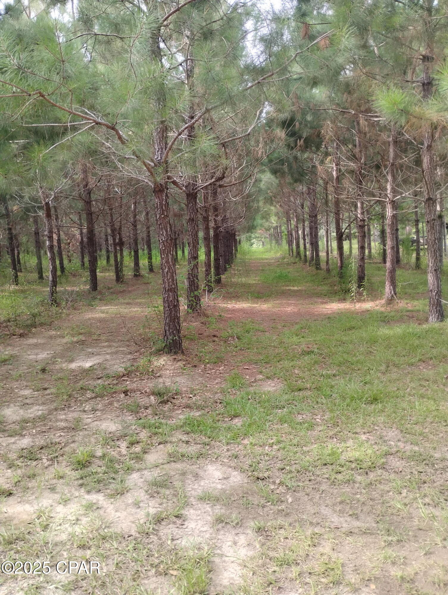 0 Hwy 77 Chipley Chipley, FL 32428 - Photo 18 of 23