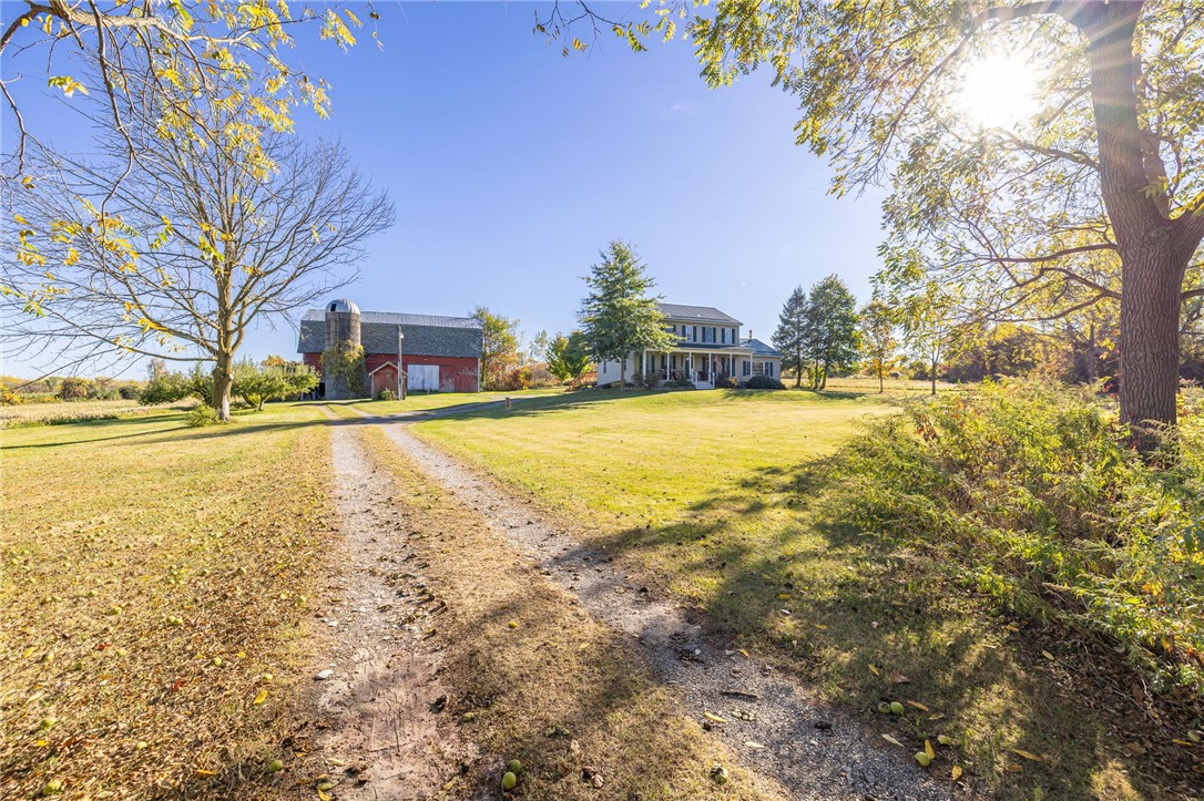 1950 Dow Road Piffard, NY 14533 - Photo 4 of 40