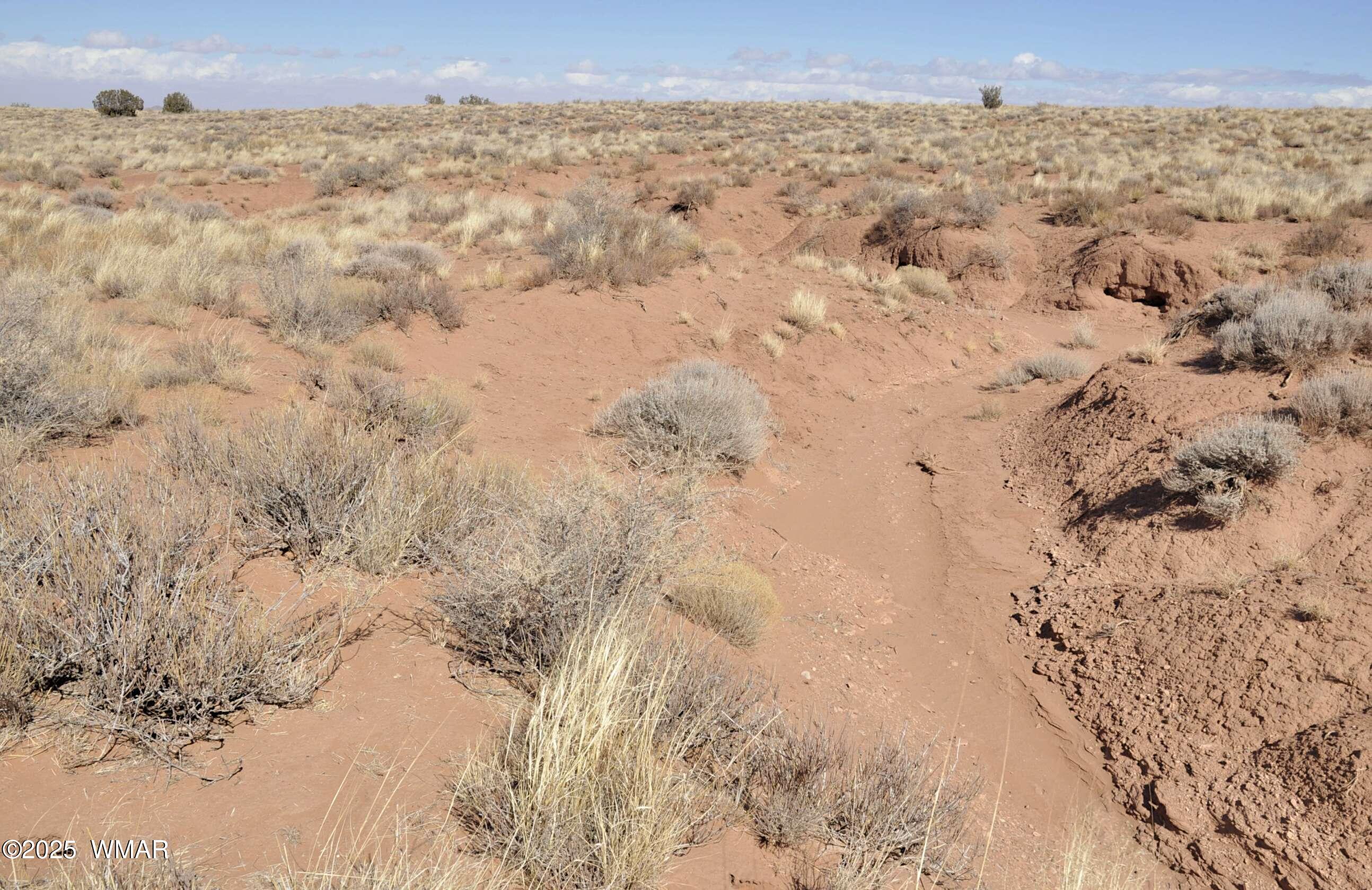 8037 Uttecht Trail Snowflake, AZ 85937 - Photo 16 of 19 a view of a dry yard covered with snow