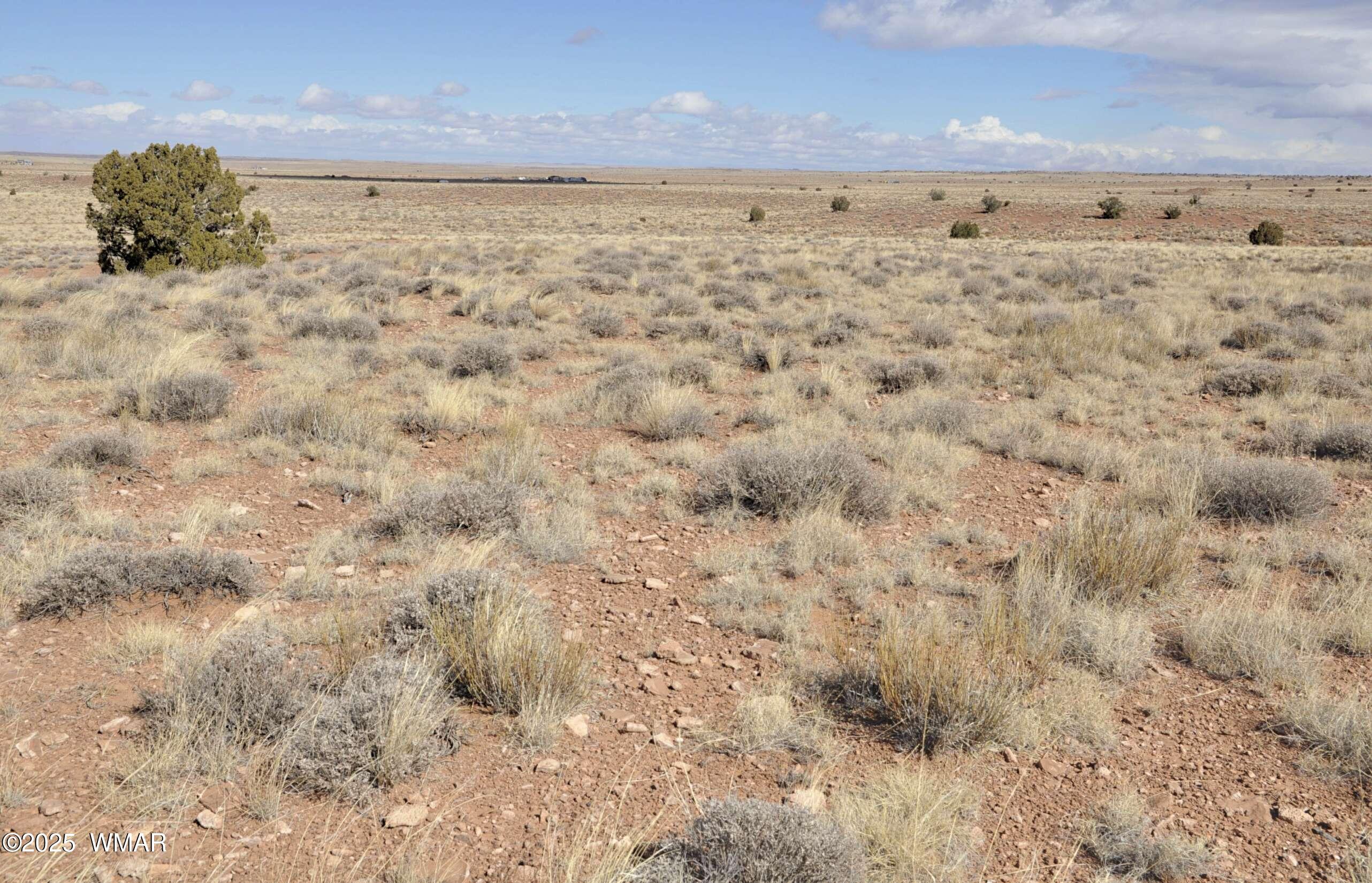 8037 Uttecht Trail Snowflake, AZ 85937 - Photo 10 of 19 a view of a dry yard