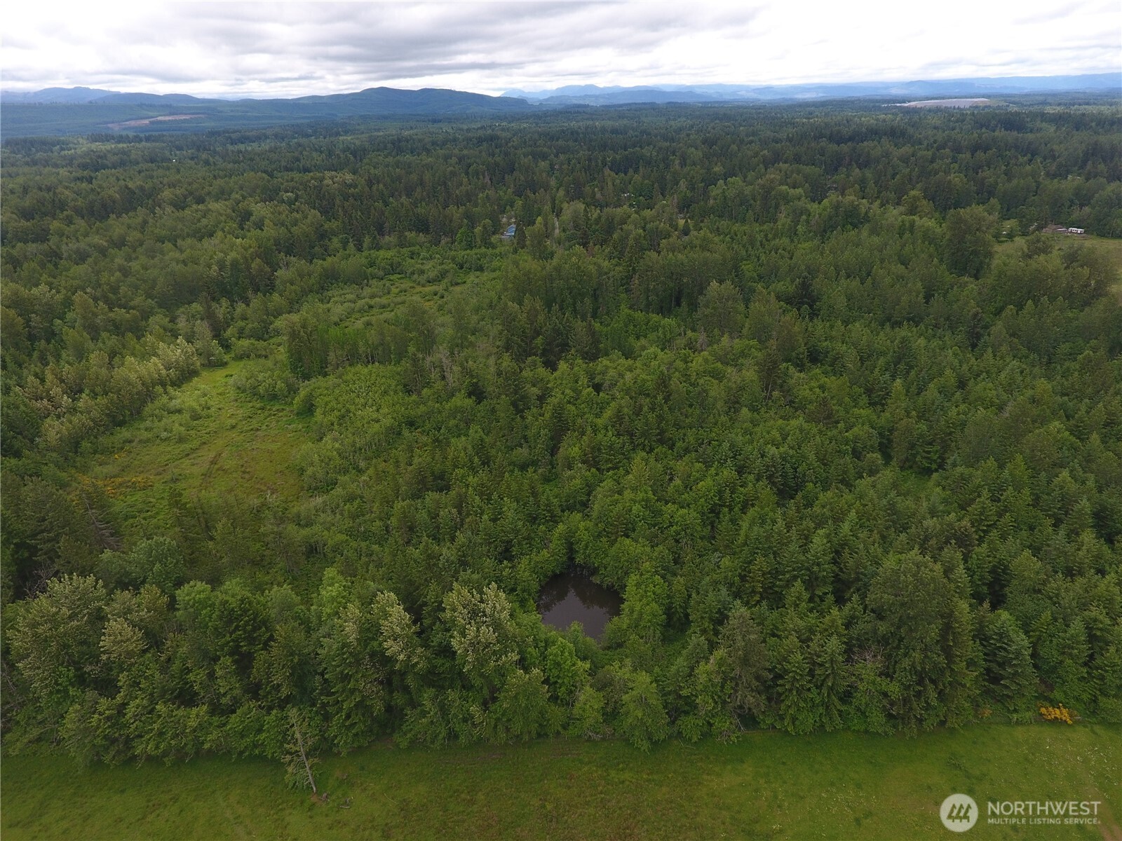 0 128th Avenue East Graham, WA 98338 - Photo 2 of 4 a view of an ocean and mountain