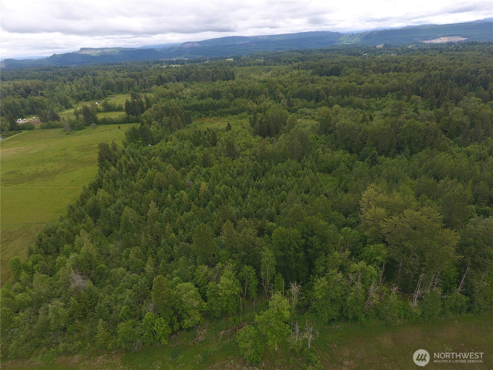 0 128th Avenue East Graham, WA 98338 - Photo 3 of 4 a view of a city with lush green forest