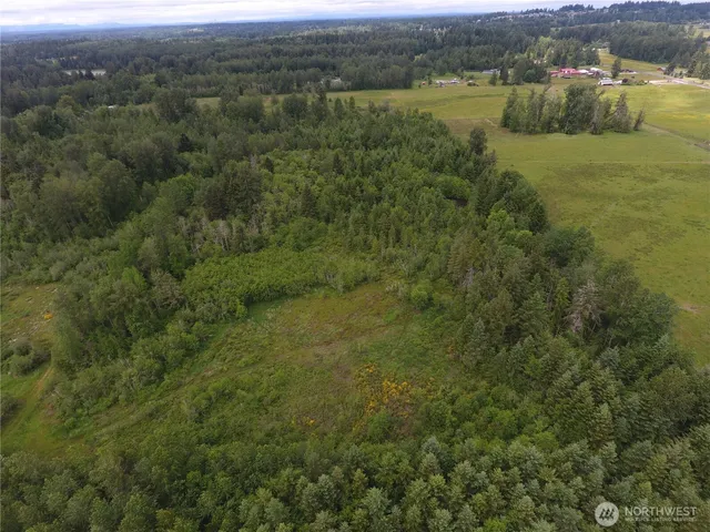 an aerial view of residential houses with outdoor space and trees