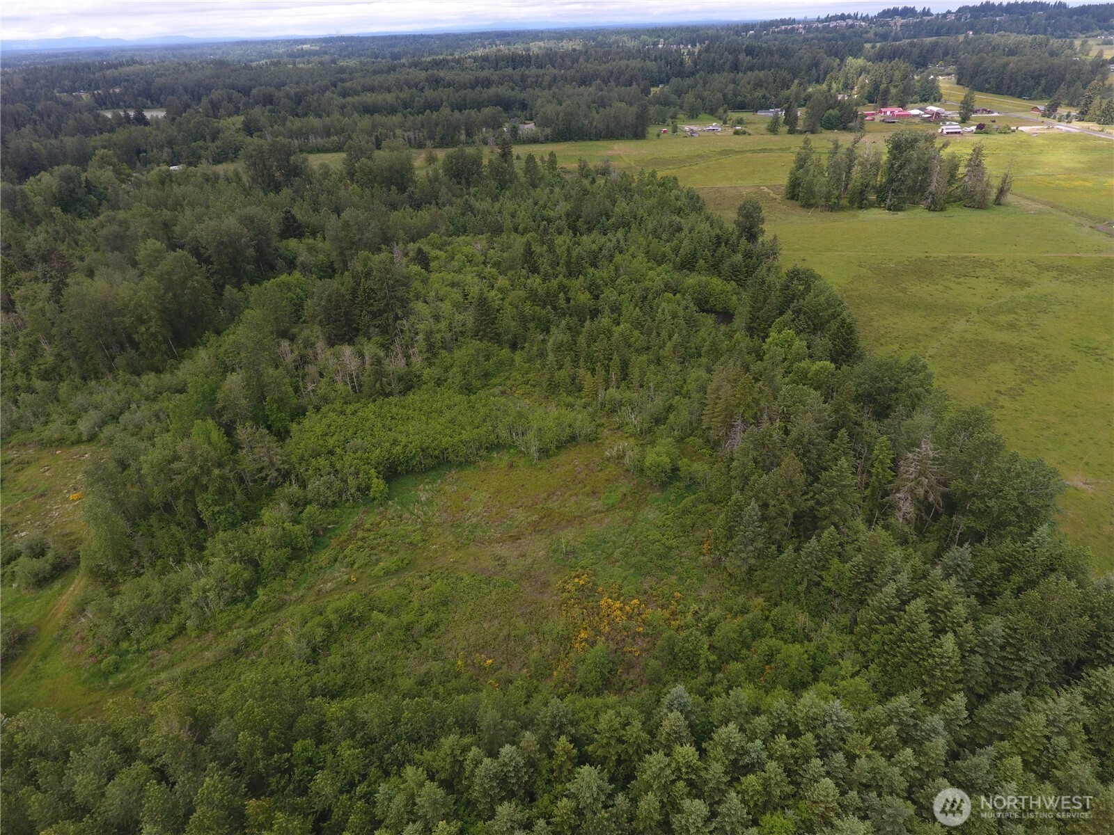 0 128th Avenue East Graham, WA 98338 - Photo 4 of 4 an aerial view of residential houses with outdoor space and trees