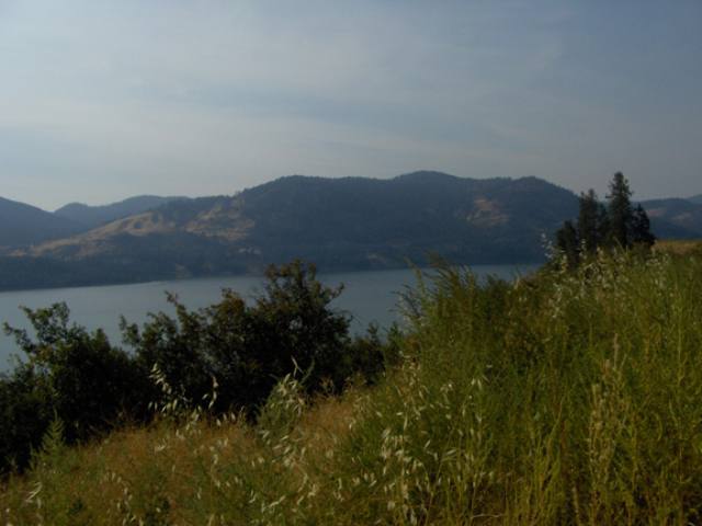 0 Lot 1 Lantzy Road Hunters, WA 99137 - Photo 3 of 6 Gallery Image 3